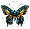 Tattoo butterfly in circle of beads. Beauty symbol