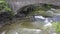 Taughannock Creek flowing under stony bridge