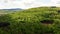 Taunus mountains with the grosser feldberg mountain in spring