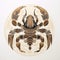 Taupe Scorpion Art Deco Wall Art - Tristan Eaton Style