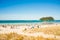 Tauranga beach in summer