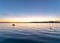 Tauranga Harbour sunrise glow across water at dawn.