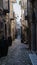 Taurasi, Avellino, Campania, Italy: view of alley with barrels