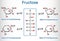 Tautomeric forms of D-Fructose. Alpha-D-fructofuranose, beta-D-fructofuranose, alpha-D-fructopyranose, beta-D-fructopyranose.