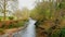 Tavistock River Tavy . Devon on the edge of dartmoor