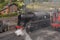Taw Valley Steam Locomotive