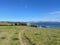 Tawharanui Regional Park in a sunny day, New Zealand