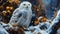 Tawny Owl snow