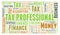 Tax Professional word cloud