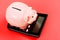 Taxes and fees concept. Tax savings. Piggy bank money savings. Investing gain profit. Calculate taxes. Piggy bank pig