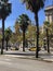 Taxis at the Gothic Quarter of Barcelona