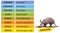 Taxonomic ranks-aardvark