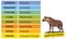 Taxonomic ranks-hyena