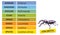 Taxonomic ranks-Stag beetle