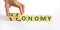 Taxonomy or economy symbol. Businessman turns cubes, changes the word economy to taxonomy. Beautiful white table, white background