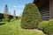 Taxus baccata. Evergreen trimmed coniferous tree in Belgian garden.