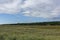 Tay Heath with its grasses, heathers and wildflowers amongst the undulating dunes in front of the Pine Forest.