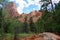 Taylor Creek, Kolob Canyons, Zion National Park, Utah