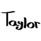 Taylor female name street art design. Graffiti tag Taylor. Vector art.
