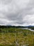 TaÃ¯ga undera cloudy sky in Quebec, Charlevoix, Parc National des Grands Jardins