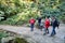 Tbilisi, Turkey - October, 2019: Groupe of people who ara active hikers or tourists walking in forest landscape