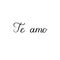 Te amo. Valentines Day Hand Lettering Card. Modern Calligraphy. Vector Illustration. I love you in spanish