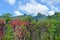 Te Manga mountain Rarotonga cook islands