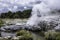 Te puia geyser geothermal hot spring rotorua