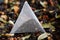Tea bag-pyramid with black flavored tea, with the addition of fruits and berries, against the background of scattered large-leaf