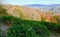 Tea bushes against the background of mountains with a forest and a village