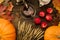 Tea c still life with samovar, apples, ripe orange pumpkins, maple leaves, wheat on wooden background.