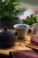 Tea ceremony gong fu cha. Handmade purple yixing zisha clay chinese teapot with shu pu erh and celadon pottery porcelain