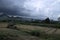 Tea cha field in thailand with rainstorm approaching