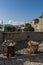 Tea, coffee, turkish, crafts, souvenir, mosque, minaret, Mostar, Bosnia, Herzegovina, Europe, islam, religion, place of worship