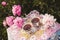 Tea in country style in summer garden. Two cups of black tea on handmade crocheted vintage lacy tablecloth and blooming peony