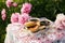 Tea in country style in summer garden. Two cups of black tea and pancakes on handmade crocheted vintage lacy tablecloth and