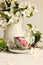 Tea cup with fresh flower blossoms