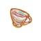 tea cup png image kitchen cousin glass tasty