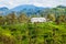 Tea factory, Sri Lanka.