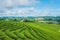 Tea farm blue sky