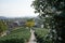 Tea fields in Hangzhou with the city buildings in the background, China