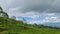 Tea garden landscape above the Dempo mountains