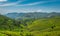 Tea gardens in the foothills of western ghat