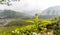 Tea Gardens, Green Hills, Blurred  Sky - Lush Green Natural Landscape