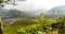 Tea Gardens, Green Hills, Blurred  Sky - Lush Green Natural Landscape