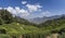 Tea gardens in Munnar, Kerala, India