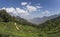 Tea gardens in Munnar, Kerala, India