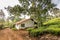 Tea gardens or tea estates at ooty hill station with beautiful clouds