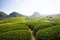 Tea hills in Moc Chau highland, Son La province in Vietnam