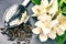 Tea infuser spoon with dry green tea leaves and jasmine flowers
